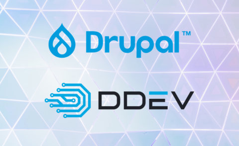 Drupal DDev