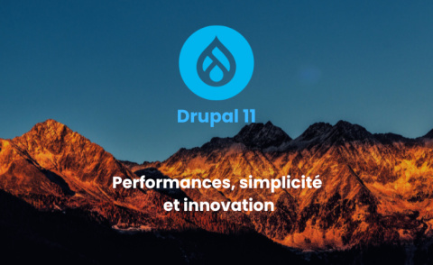 Drupal 11